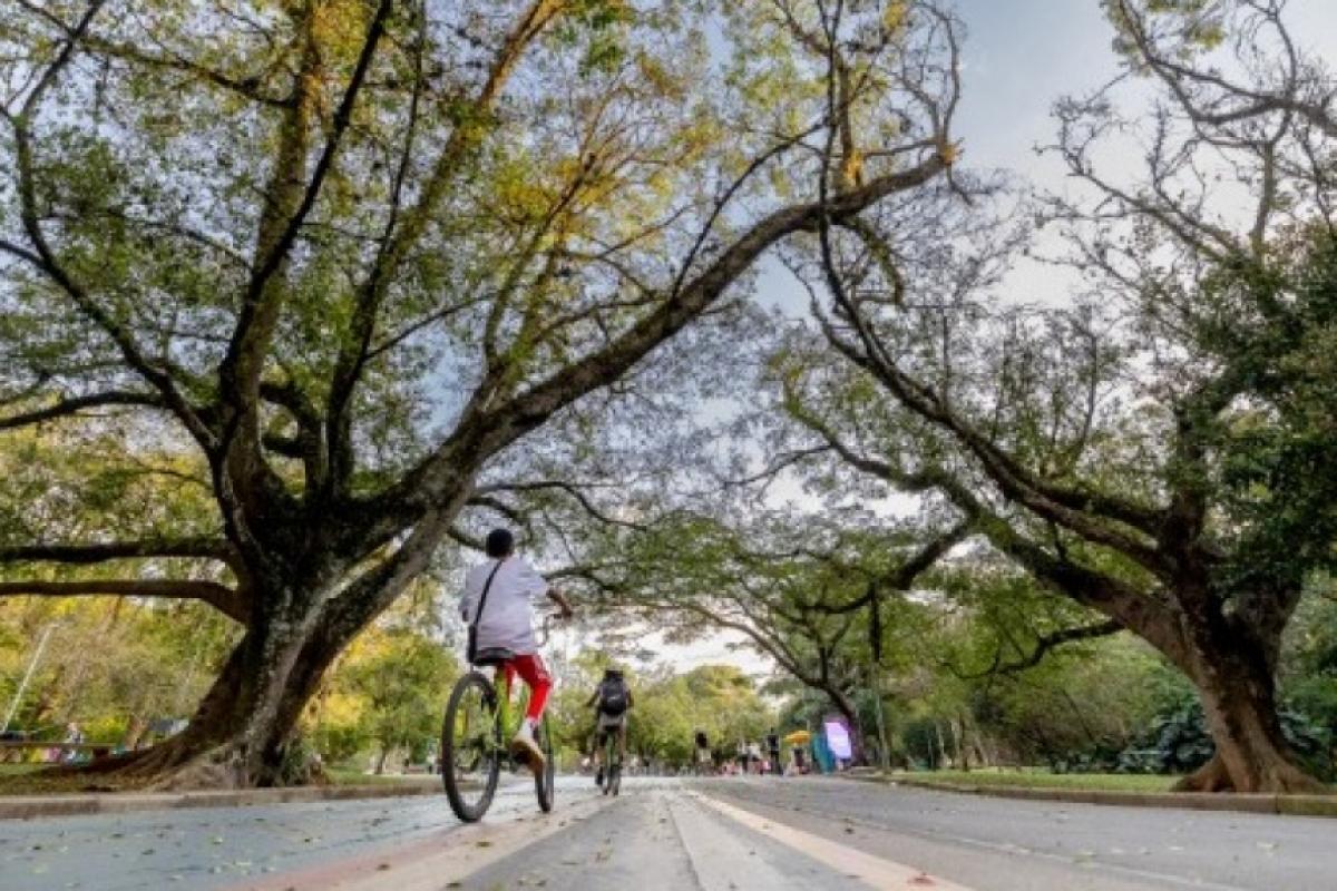 Lourdes e Valparaíso se destacam no Município Verde Azul
