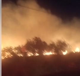 JACARANDA: Incêndio avança sobre área verde e mobiliza equipes em Birigui