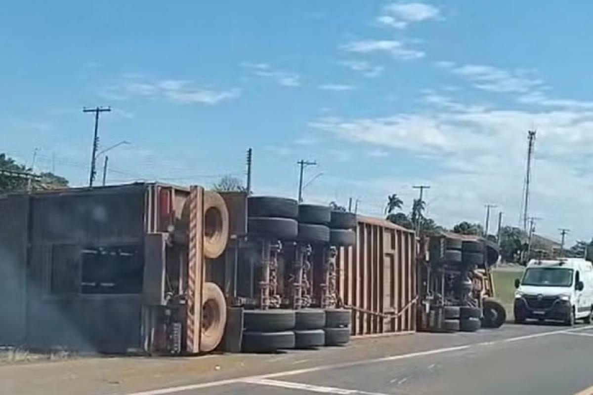 Caminhão com gado tomba e animais invadem rodovia
